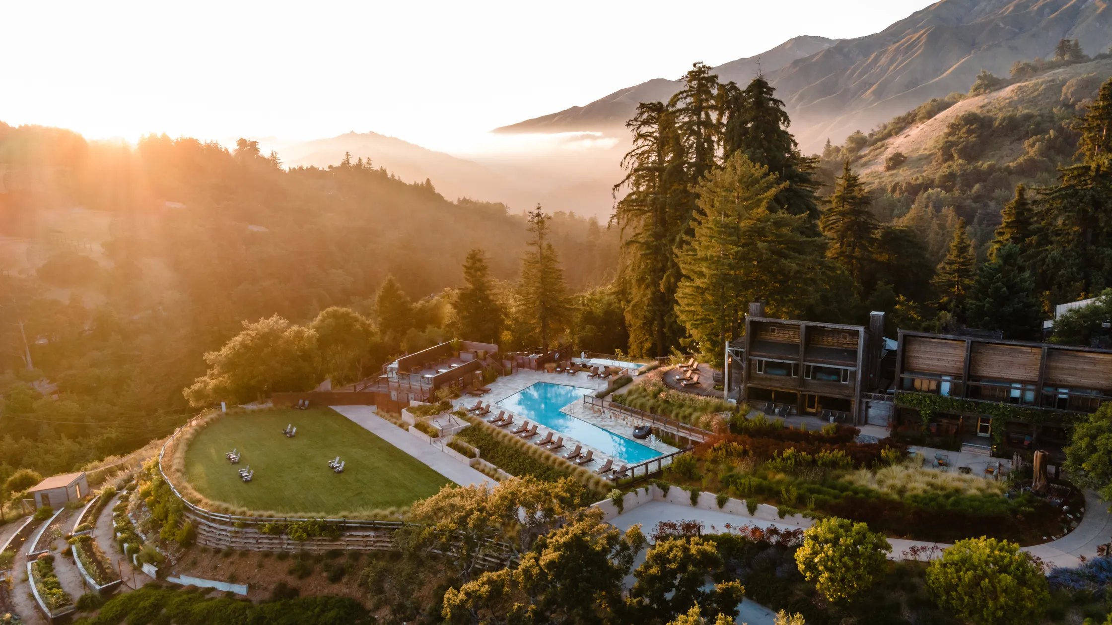 A clifftop resort with a pool among redwoods at golden hour